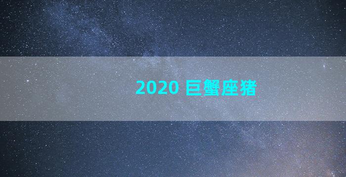 2020 巨蟹座猪